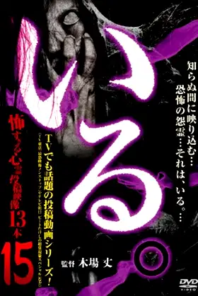 「Iru.」~ Kowasugiru Tōkō Eizō 13-hon ~ Vol.15 poster
