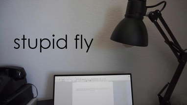 stupid fly | One Minute Short poster