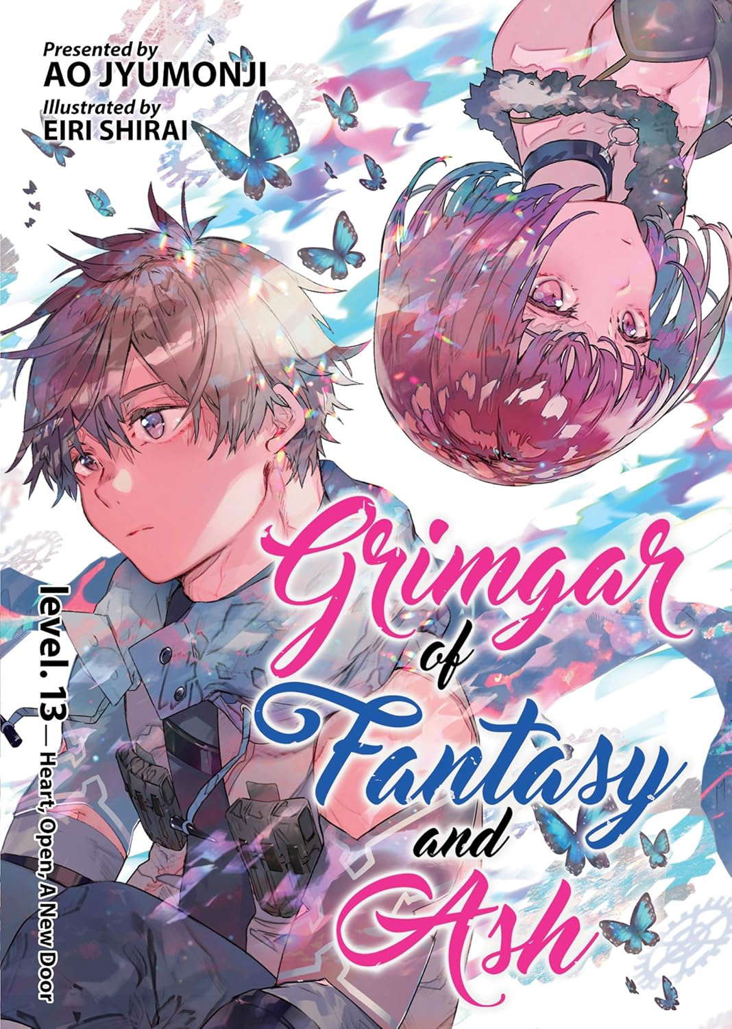 Grimgar of Fantasy and Ash (Light Novel) Vol. 13 poster