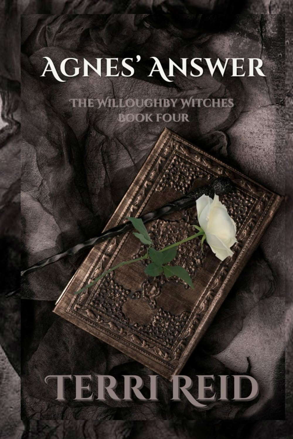 Agnes' Answer: The Willoughby Witches (Book Four) poster