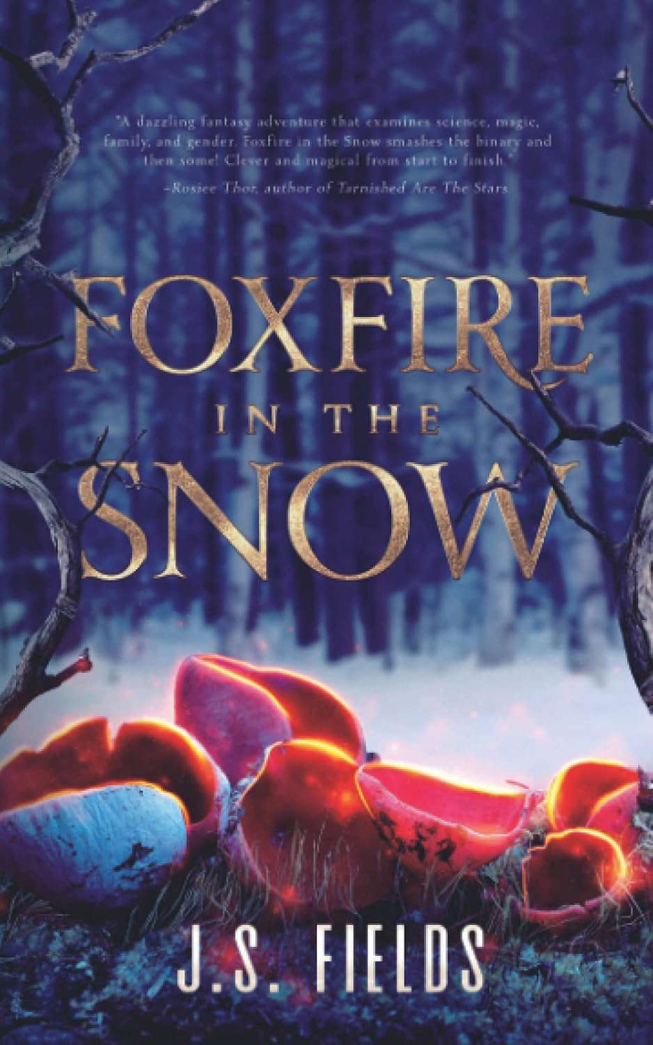 Foxfire in the Snow poster