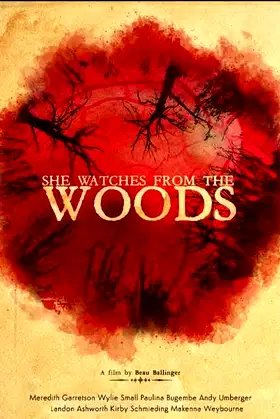 She Watches from the Woods poster