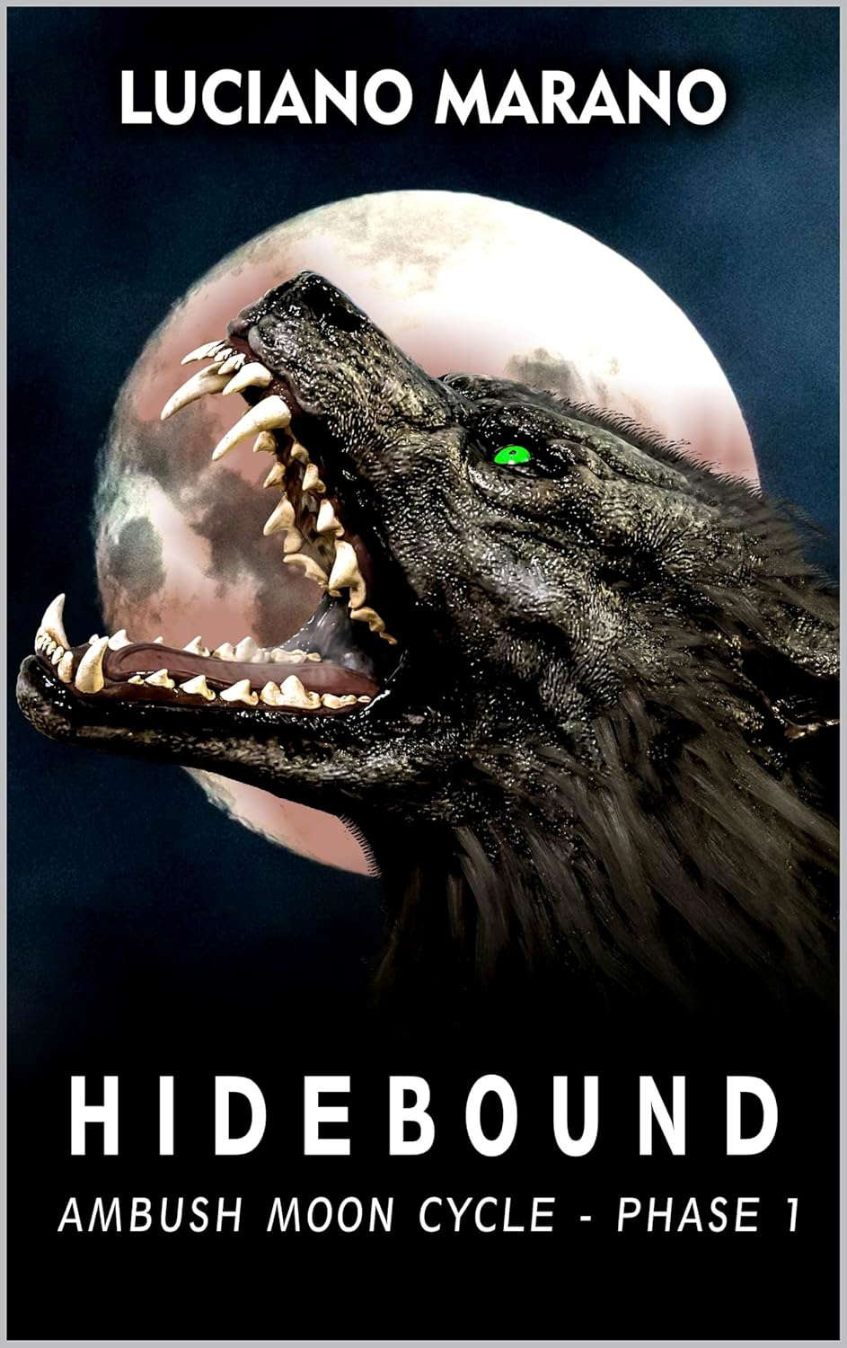 Hidebound (Ambush Moon Cycle Book 1) poster