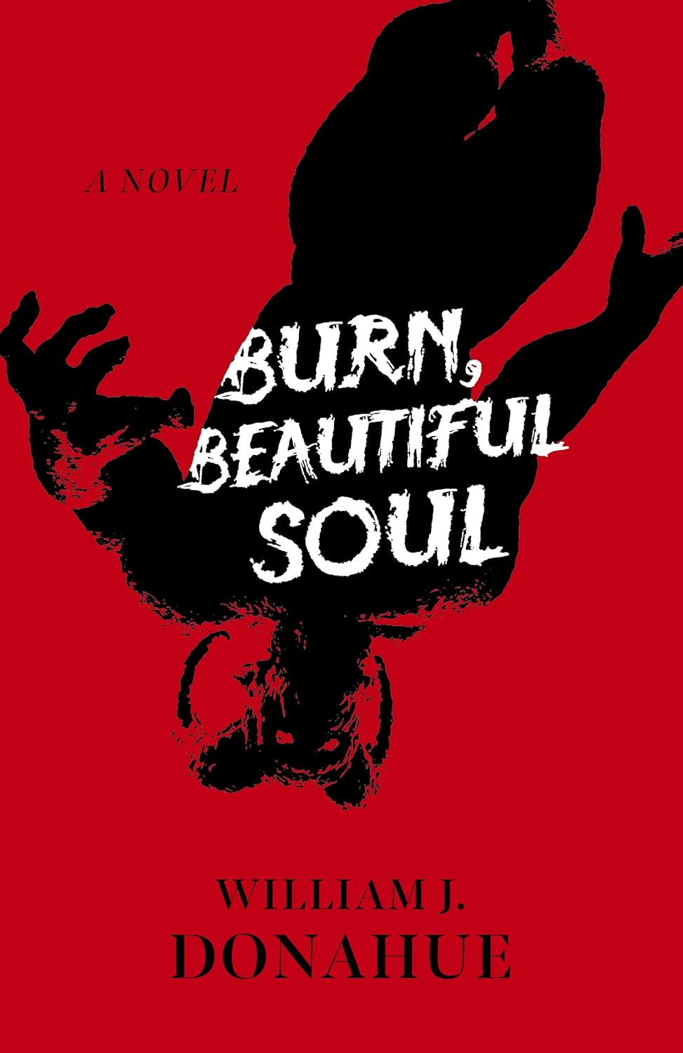 Burn, Beautiful Soul: A Novel poster