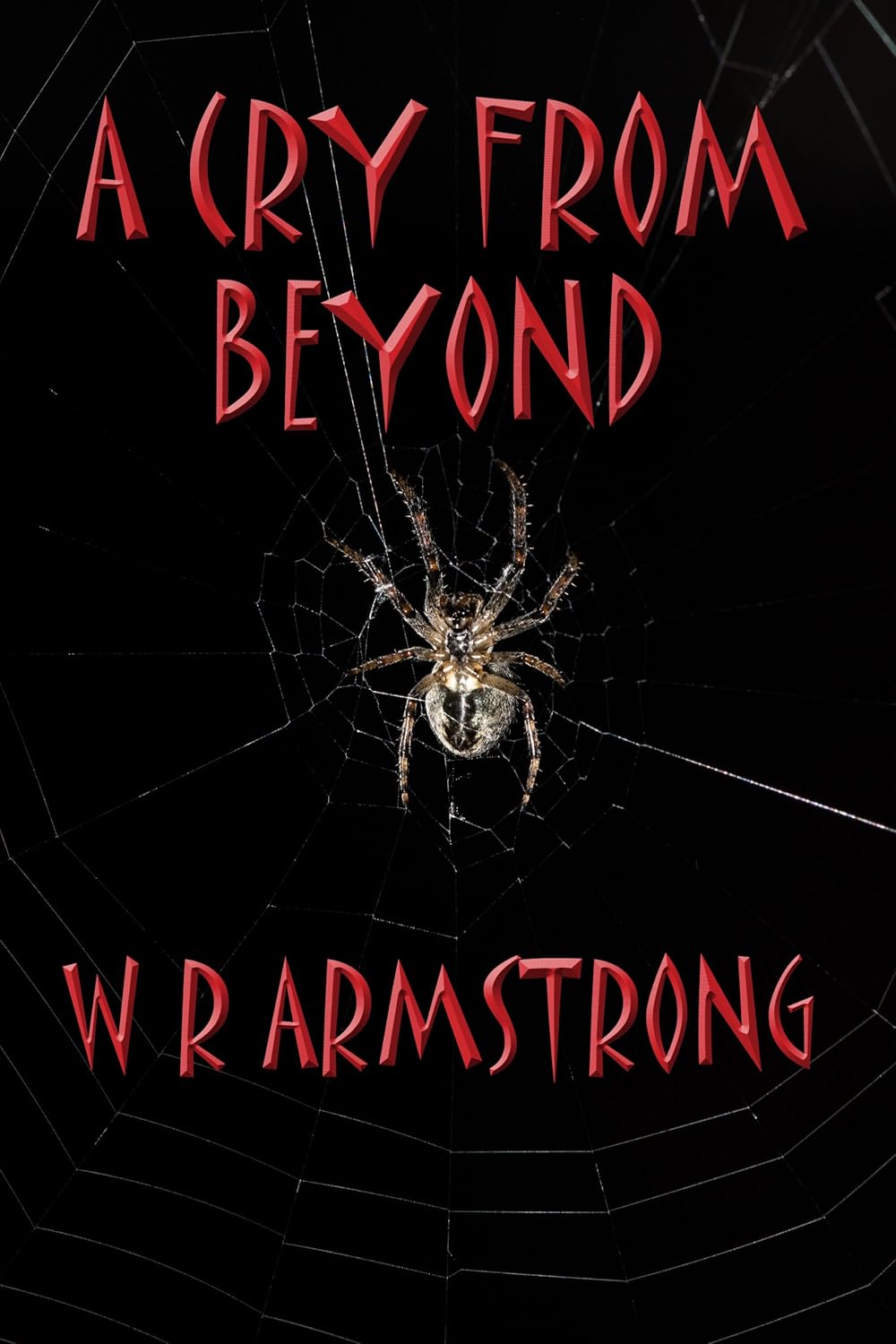A CRY FROM BEYOND poster