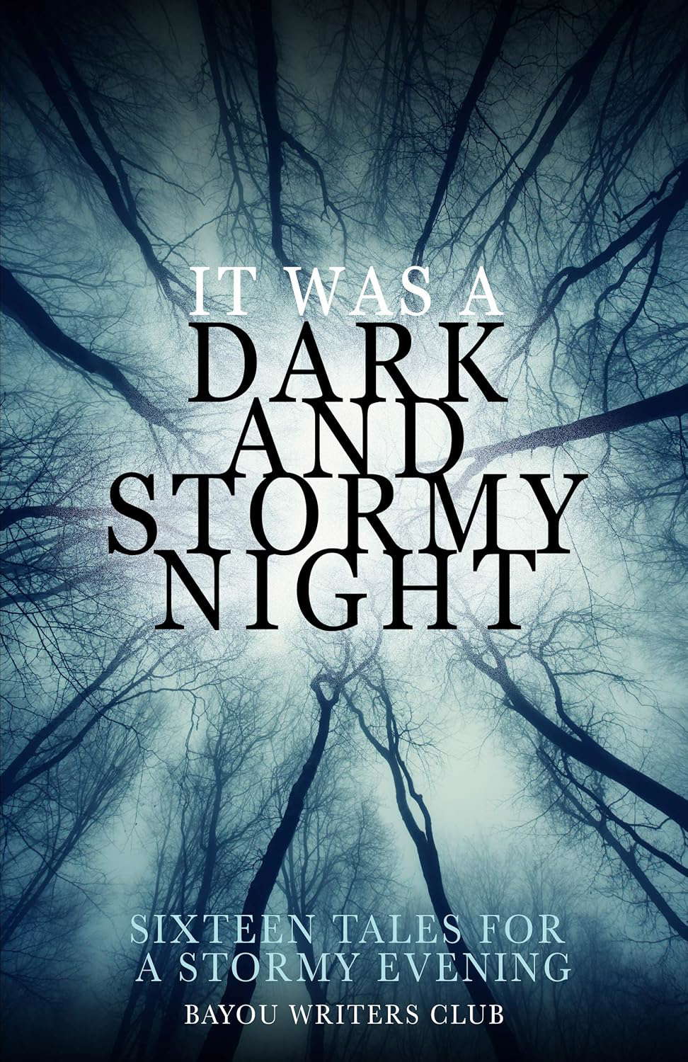 IT WAS A DARK AND STORMY NIGHT: 16 HALLOWEEN TALES poster
