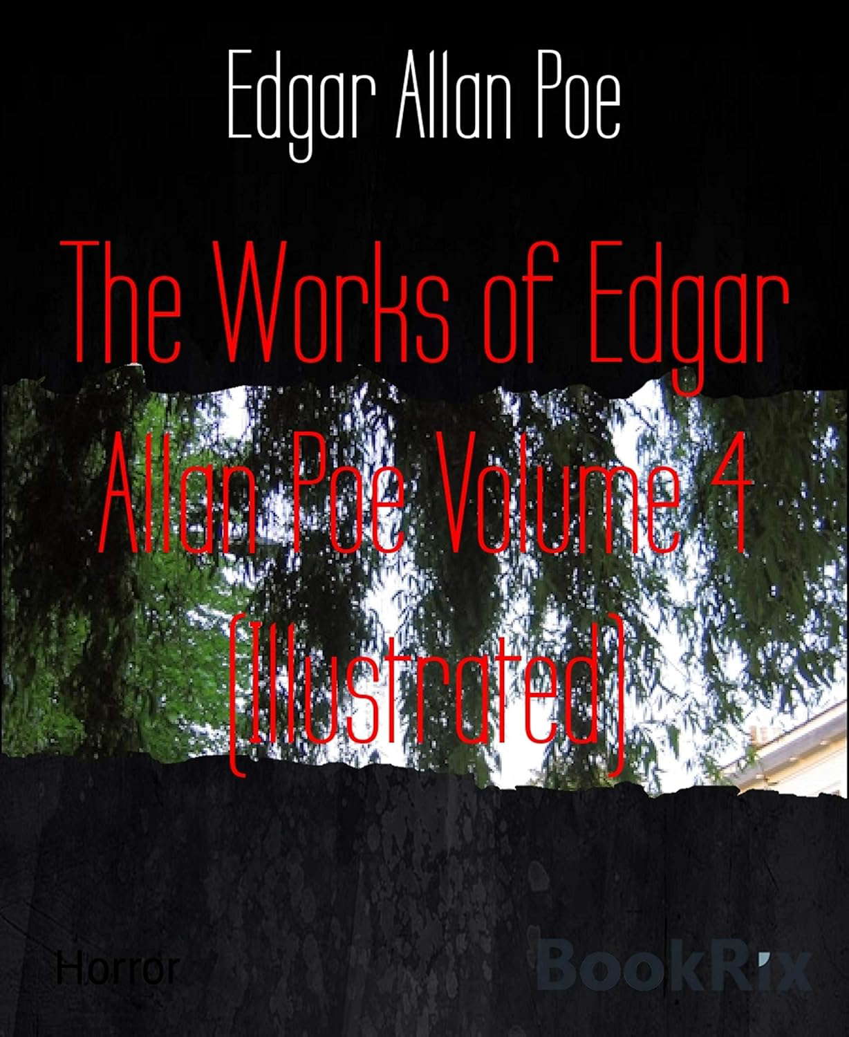 The Works of Edgar Allan Poe Volume 4 (Illustrated) poster