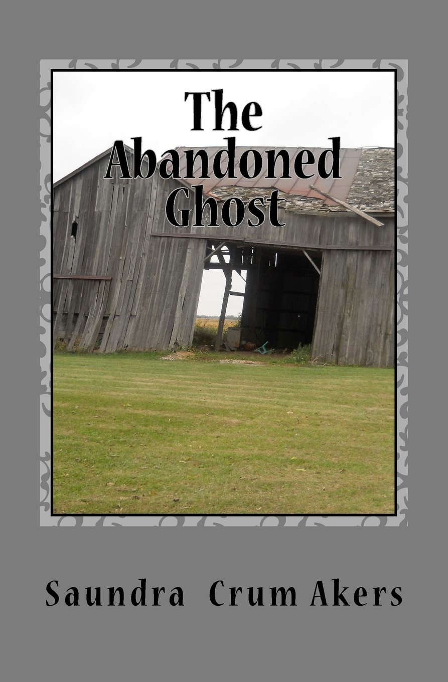 The Abandoned Ghost poster