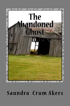 The Abandoned Ghost poster