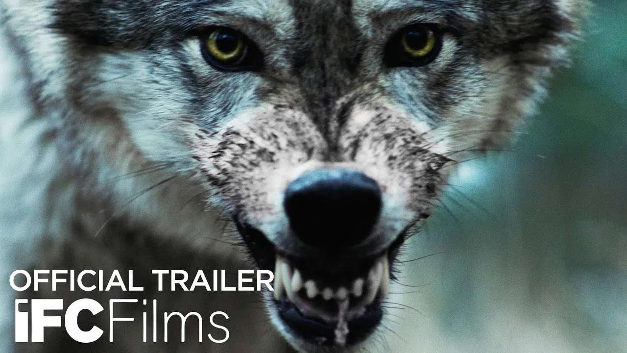 Poster for Out Come the Wolves