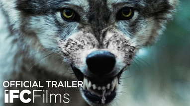 Out Come the Wolves - Official Trailer | HD | IFC Films poster