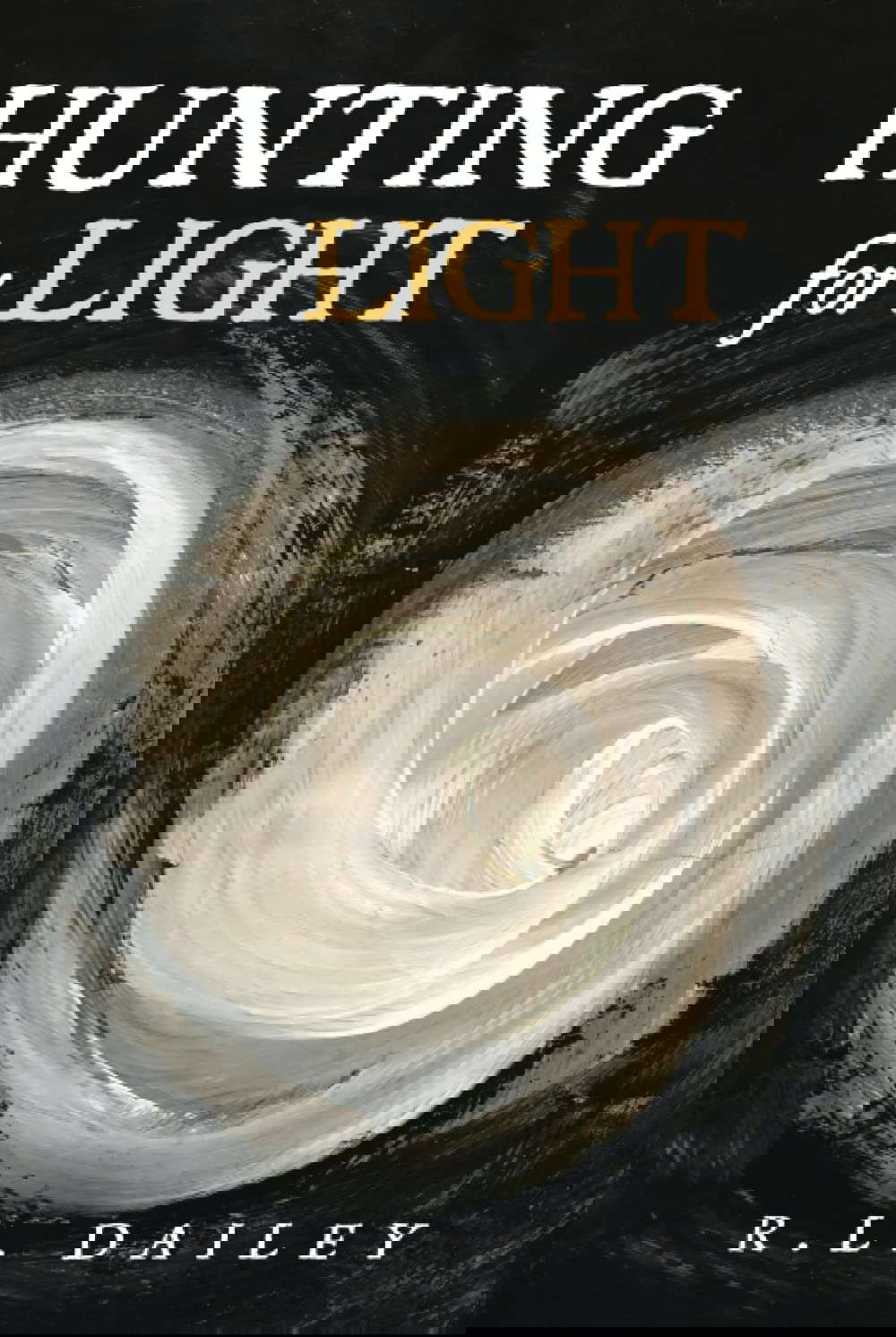 Hunting for Light poster