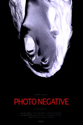 Photo Negative poster