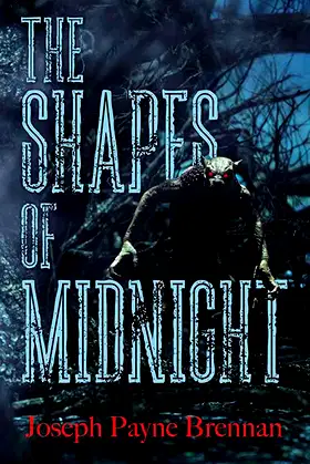 The Shapes of Midnight poster