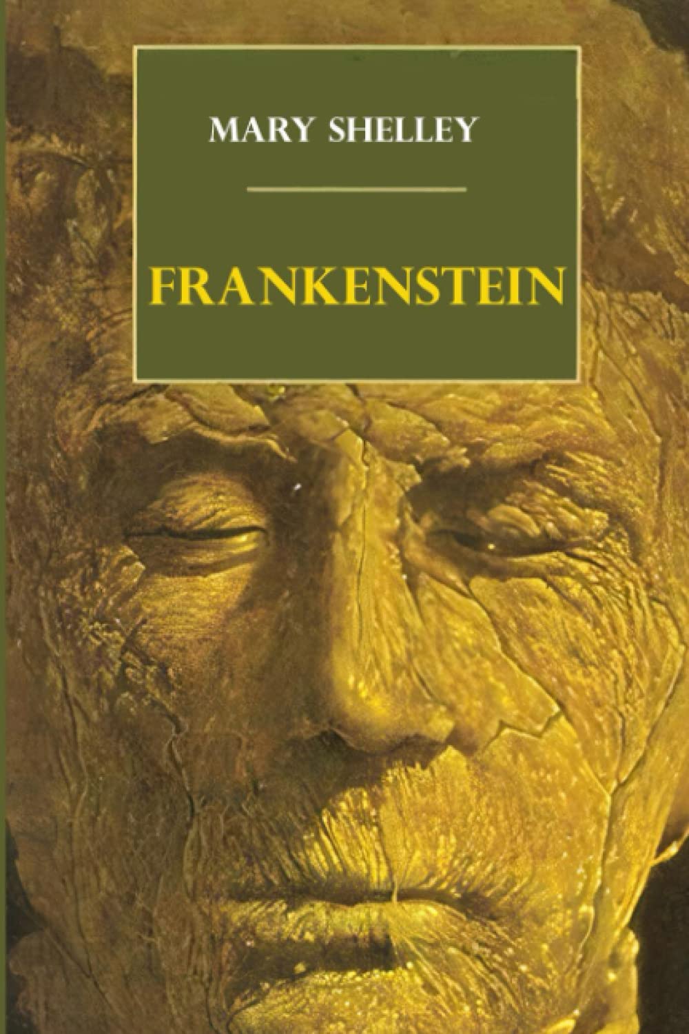 frankenstein 1818,by mary shelley: a novel poster