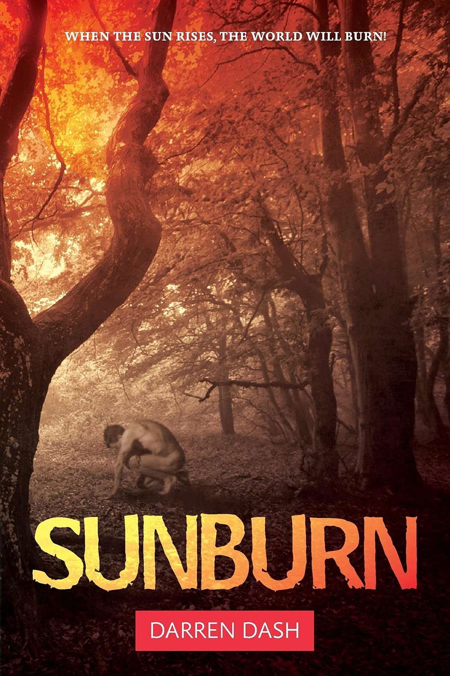 Sunburn poster