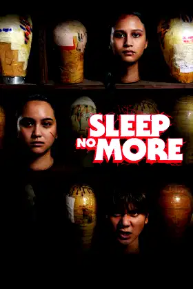 Sleep No More poster