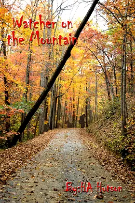 Watcher on the Mountain poster