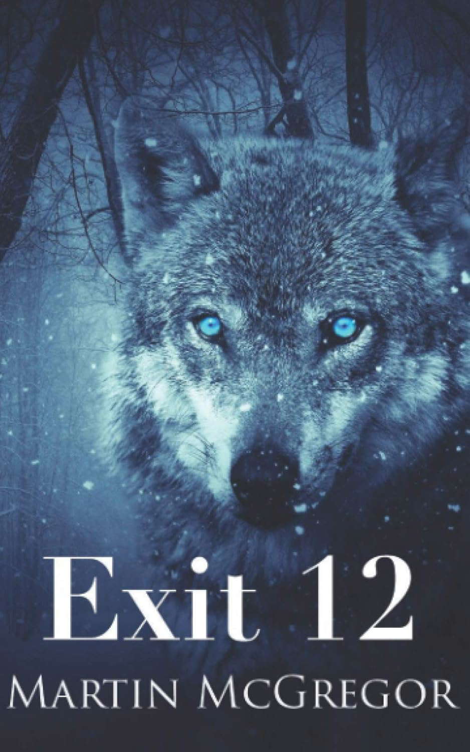 Exit 12: A 24 novel poster