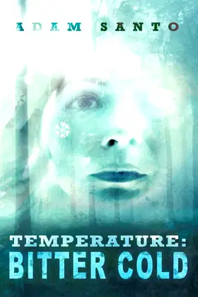 Temperature: Bitter Cold poster
