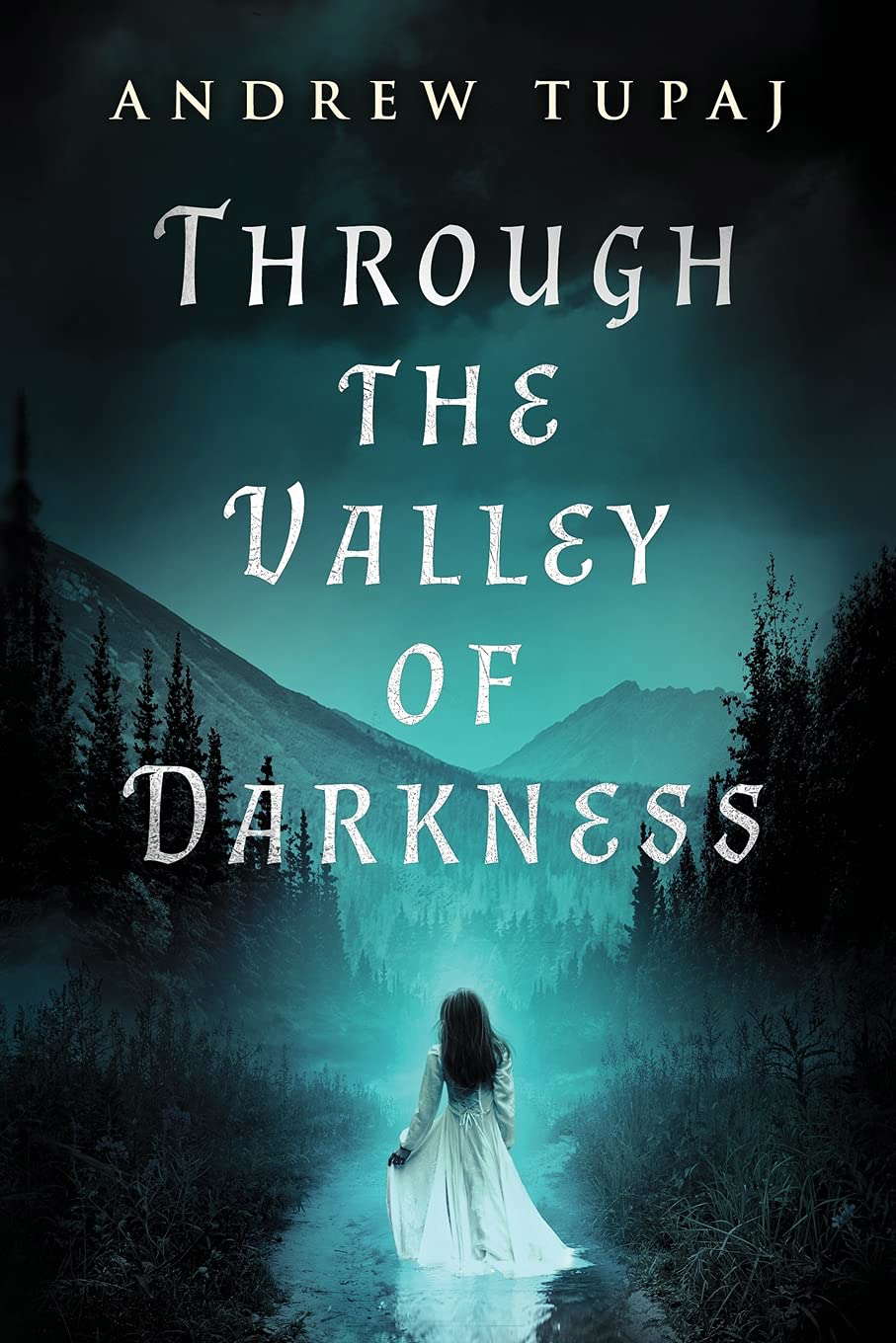 Through the Valley of Darkness poster