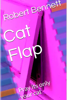 Cat Flap: Pray its only your cat poster