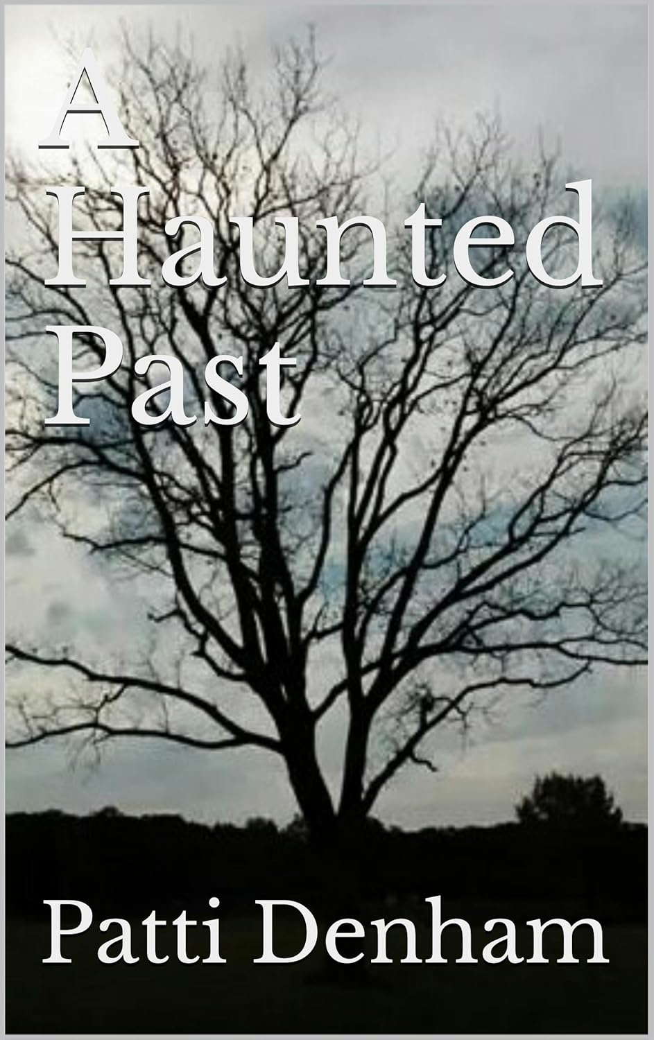 A Haunted Past poster