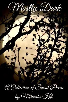 Mostly Dark poster