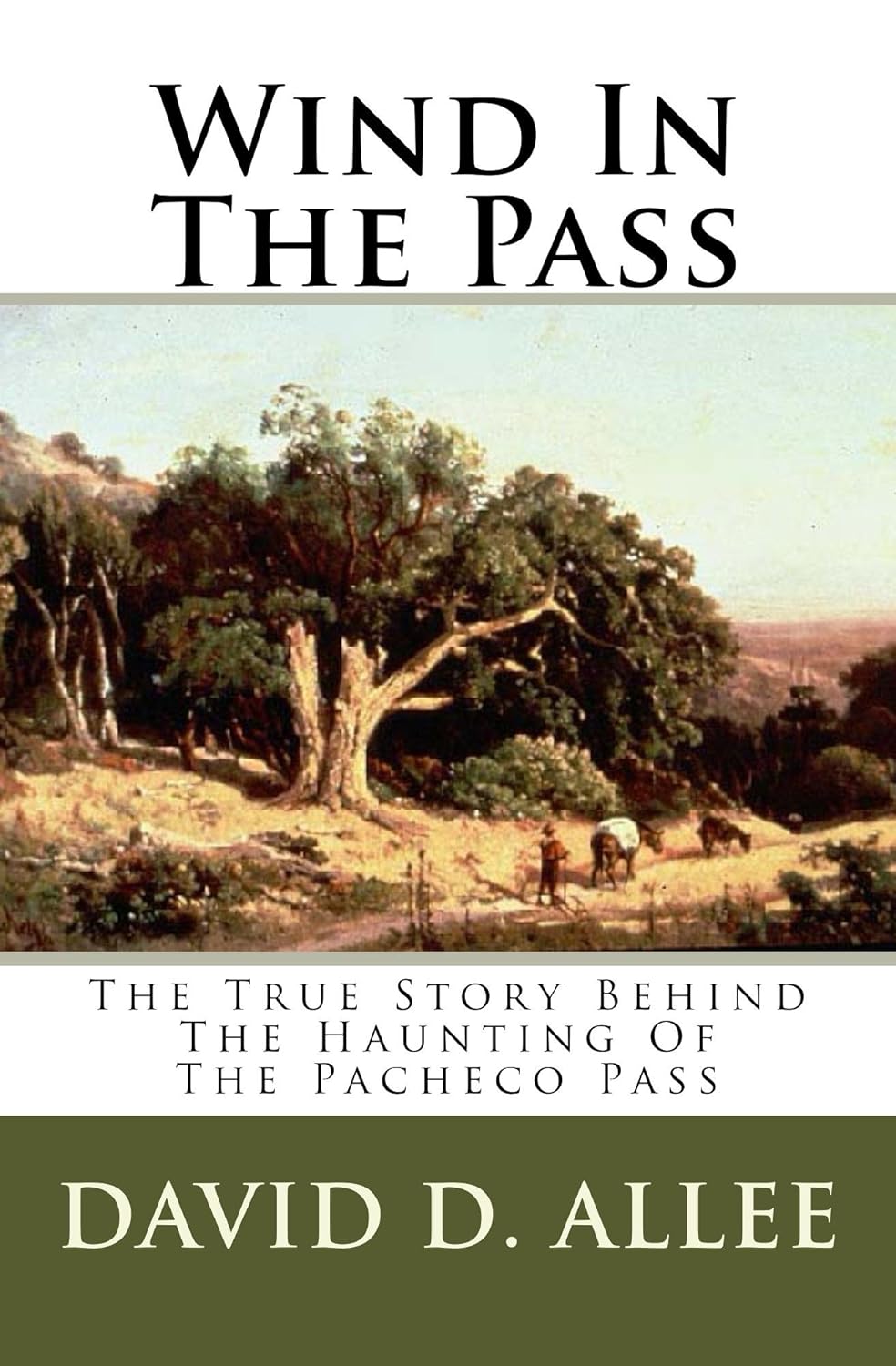 Wind In The Pass poster