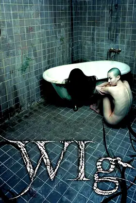 The Wig poster