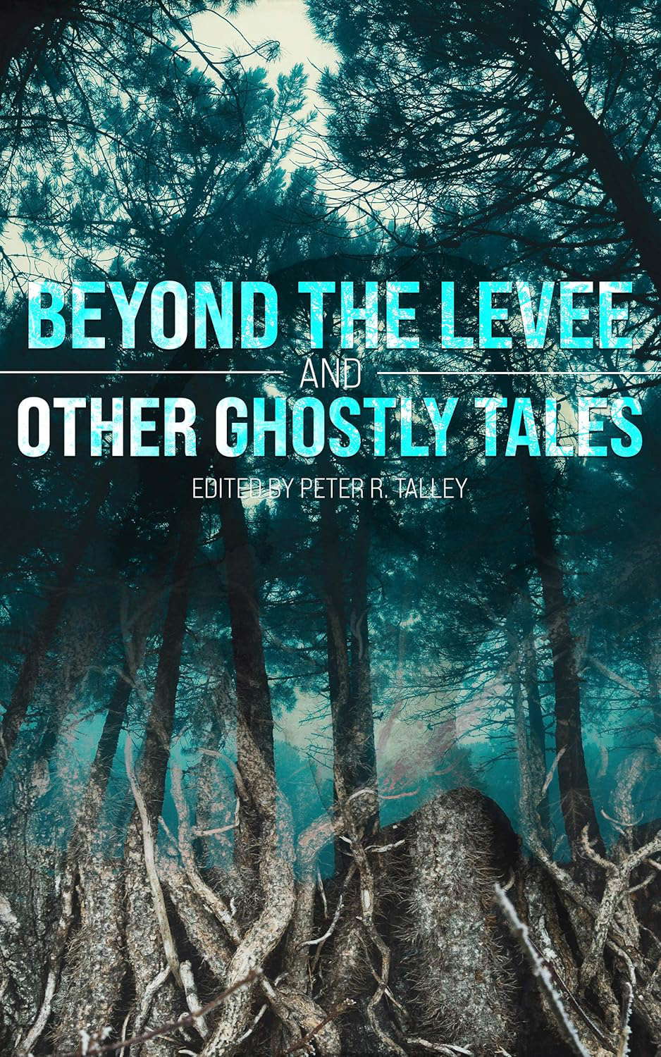 Beyond the Levee and Other Ghostly Tales poster