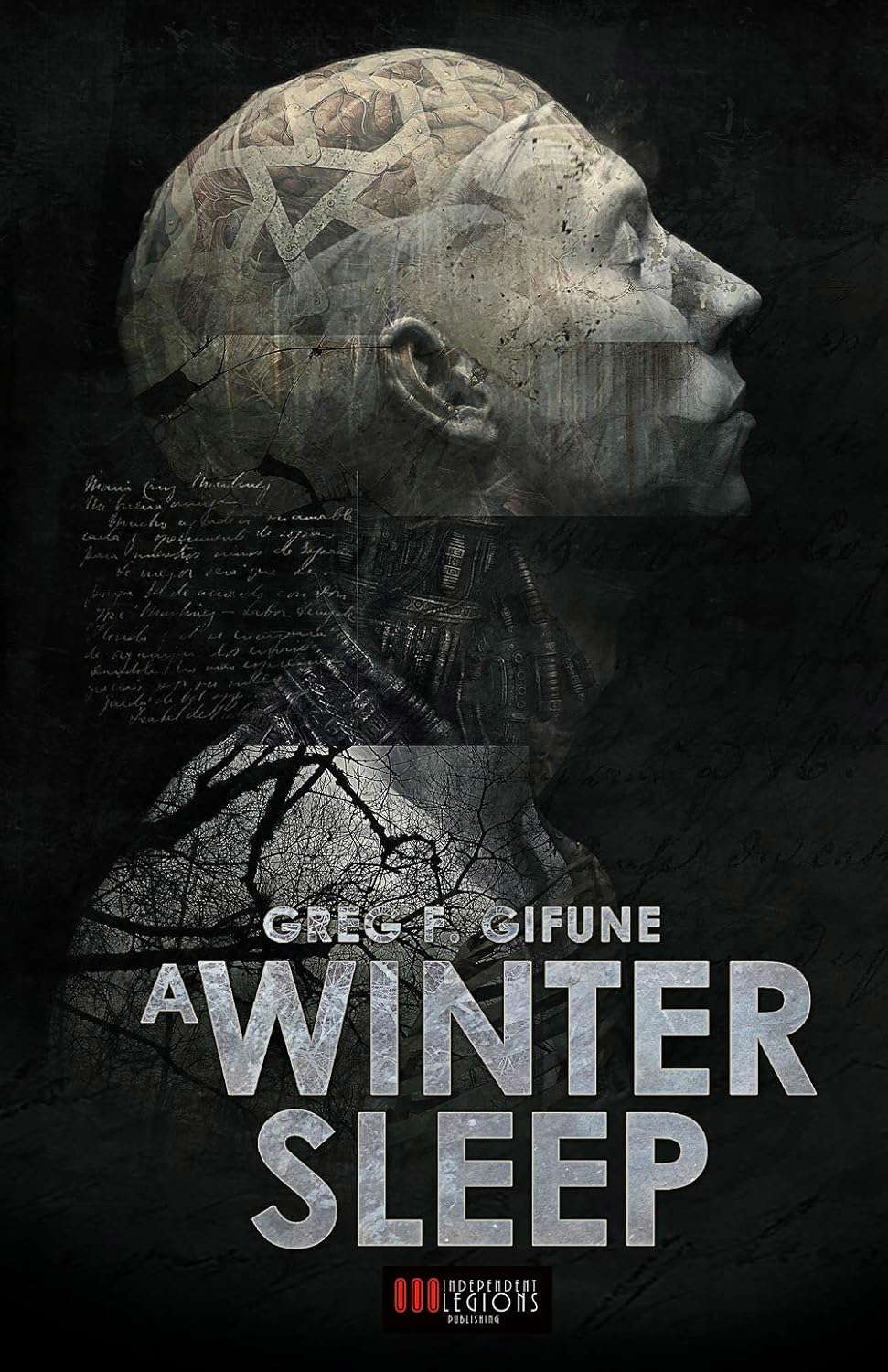A Winter Sleep poster