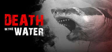 Death in the Water capsule