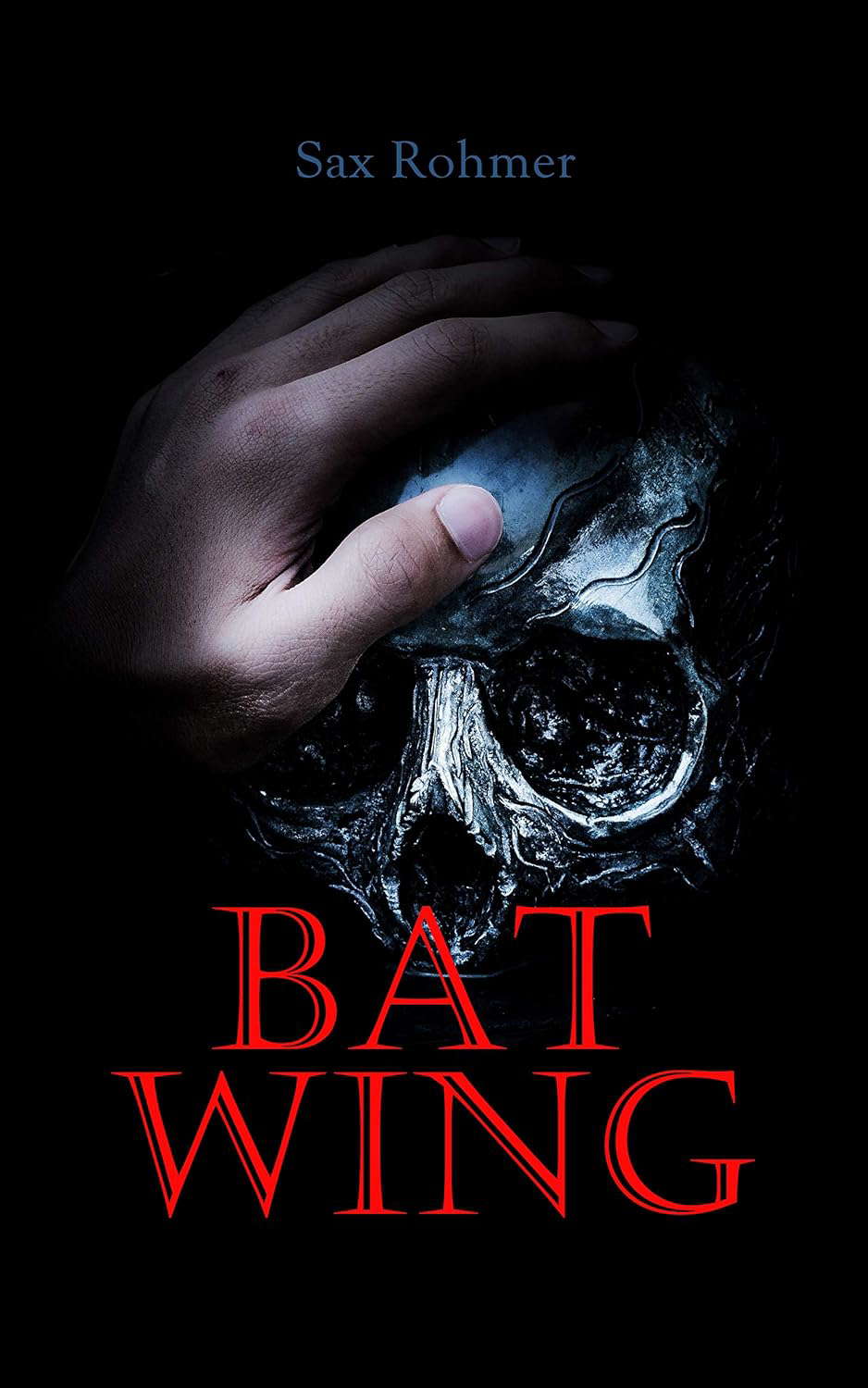 Bat Wing: Murder Mystery Novel poster