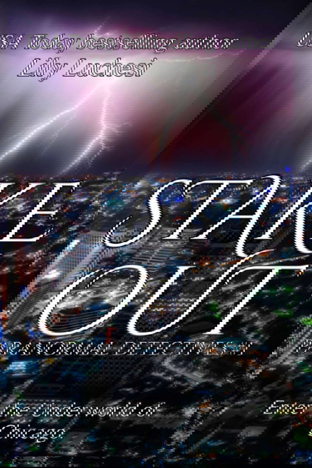 Stake-Out (The Paranormal Detectives) poster
