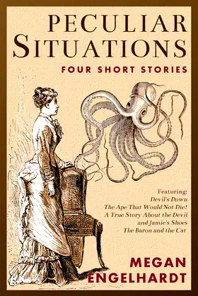 Peculiar Situations poster
