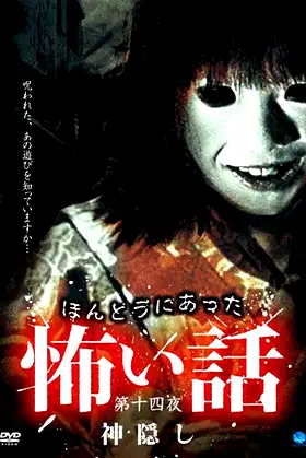 Scary True Stories: Night 14 - Mysterious Disappearance poster
