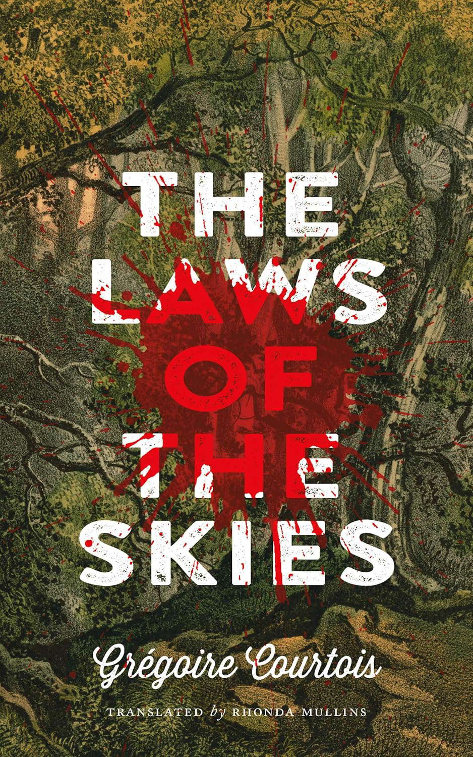 The Laws of the Skies poster