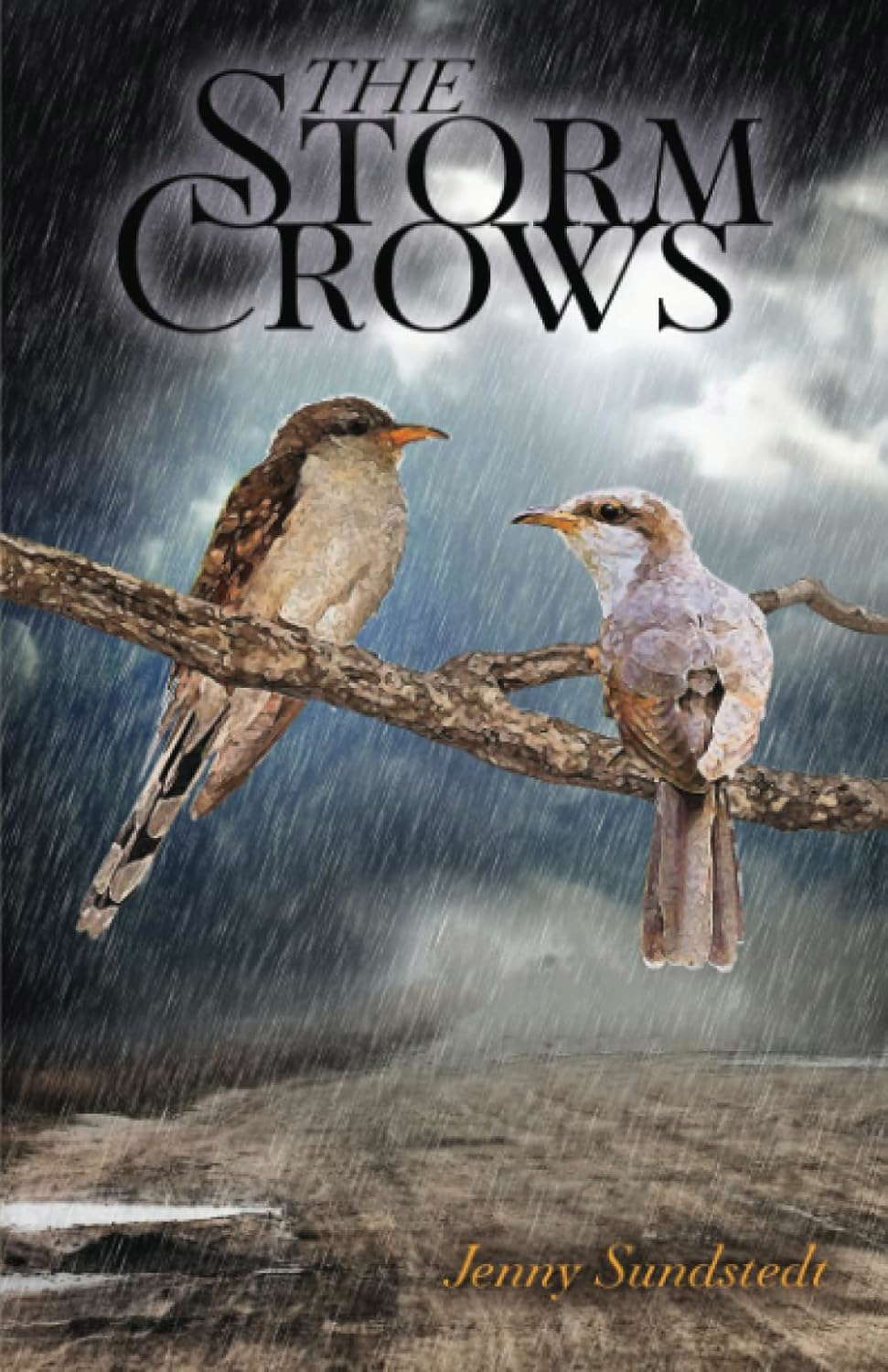 The Storm Crows poster