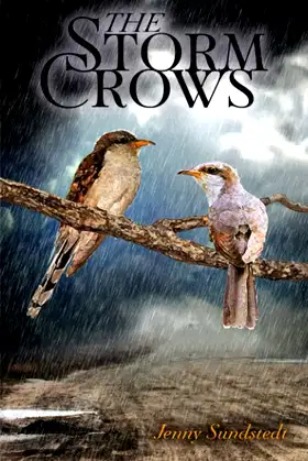The Storm Crows poster
