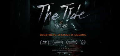The Tide Intro capsule