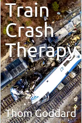 Train Crash Therapy poster