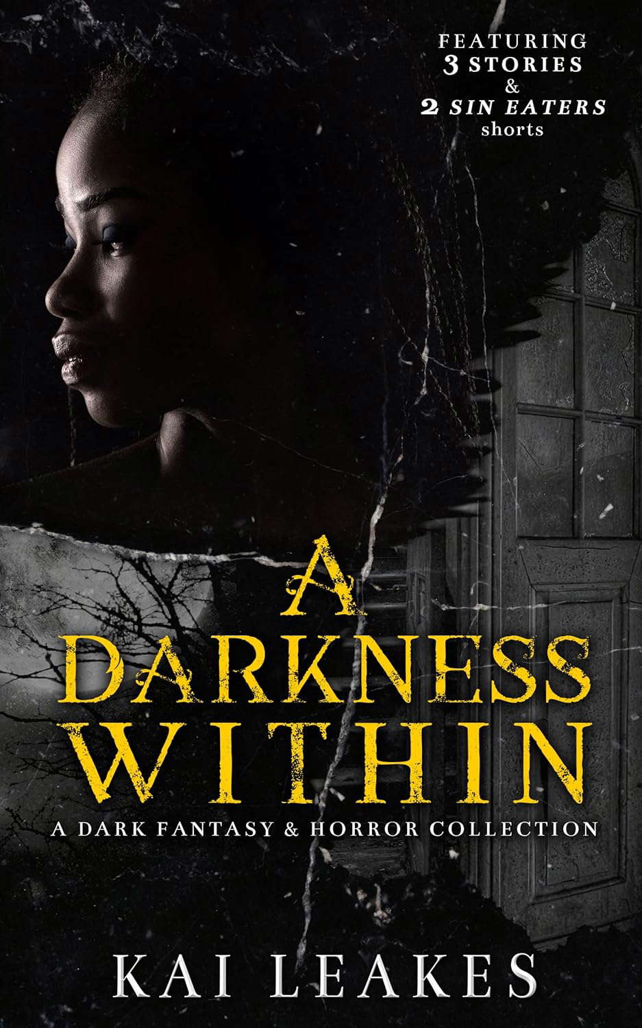 A Darkness Within: A Dark Fantasy & Horror Collection poster