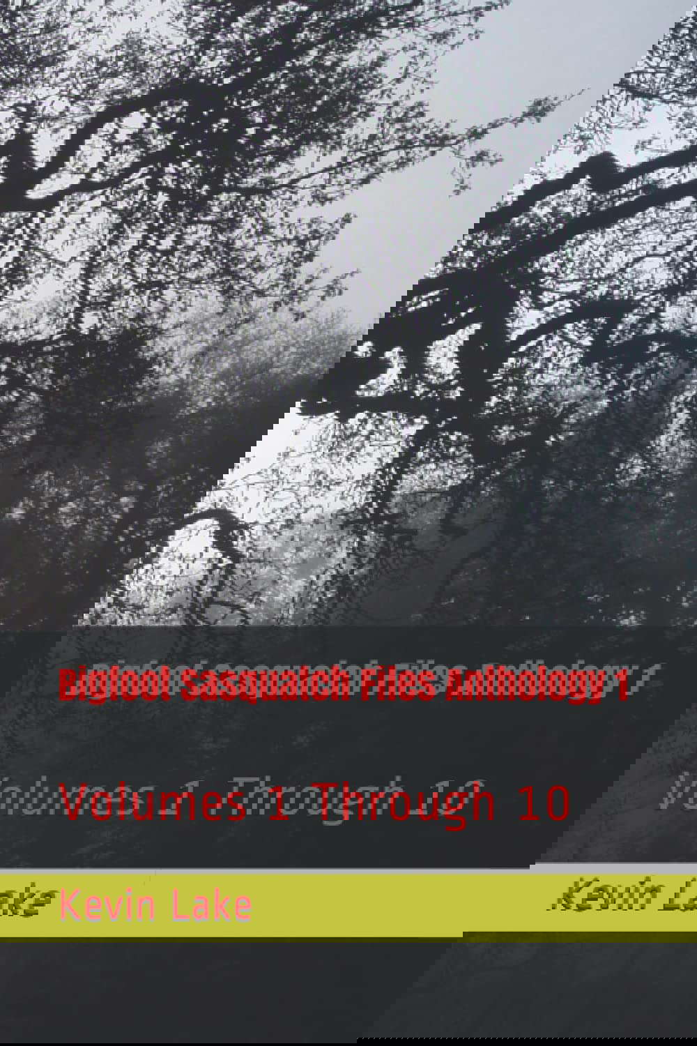 Bigfoot Sasquatch Files Anthology 1: Volumes 1 Through 10 poster