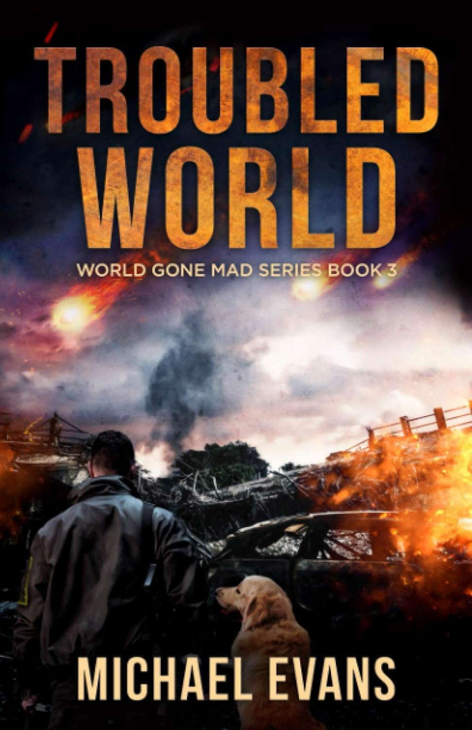 Troubled World (World Gone Mad) poster