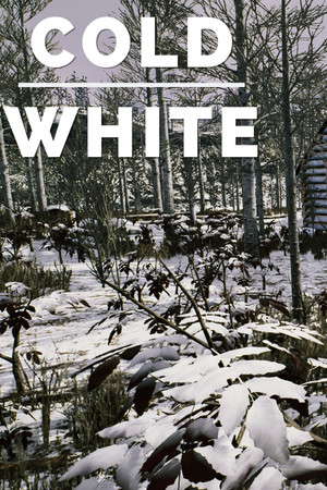 The Cold White poster