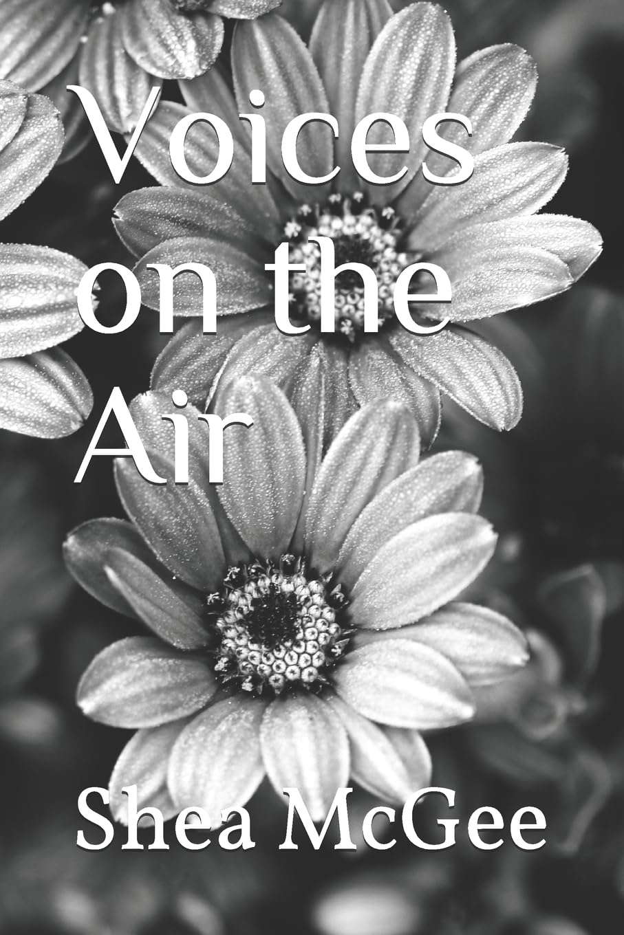 Voices on the Air (Makaela Williams Series) poster