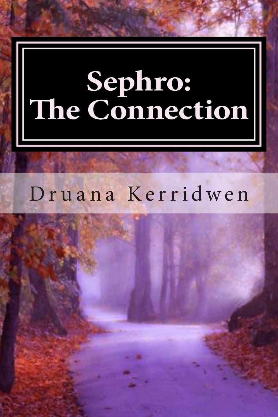 Sephro: The Connection: Book 1 in "The Sephro Chronicles" poster