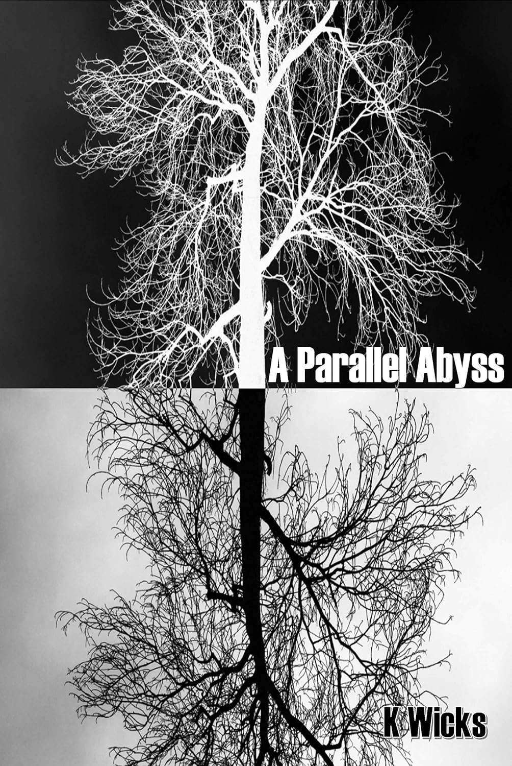 A Parallel Abyss poster