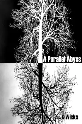 A Parallel Abyss poster